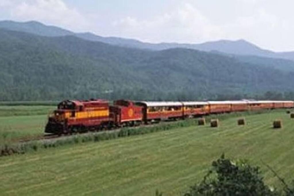 Honeymoon Getaway In Woods Near Noc And Smoky Mtn Rr Villa Bryson City Exteriör bild